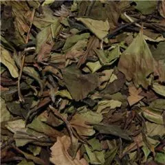 China Pai MuTan 6901 Hvid te