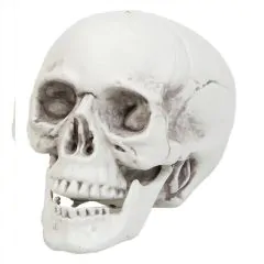 Kranie Plast 22x17x14 cm